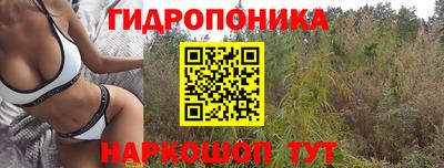 прущие крисы Пугачёв