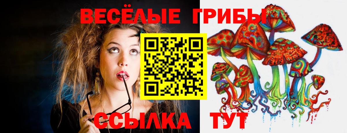 Партизанск  Псилоцибиновые грибы GOLDEN TEACHER  Вход с VPN 